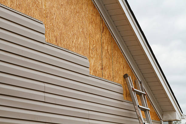 Professional Vinyl Siding technician working in Fairplay, GA